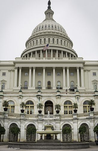 the capitol building in washington d c is white and has columns on both sides that lead up to the dome