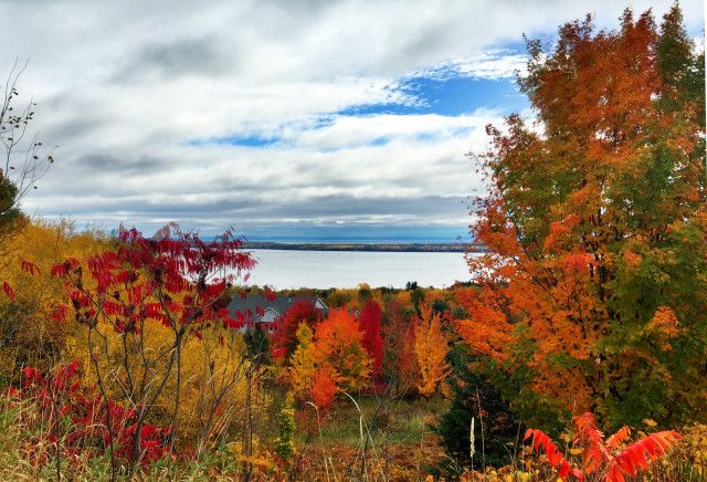 an autumn scene with colorful trees and water in the distance, on a cloudy day