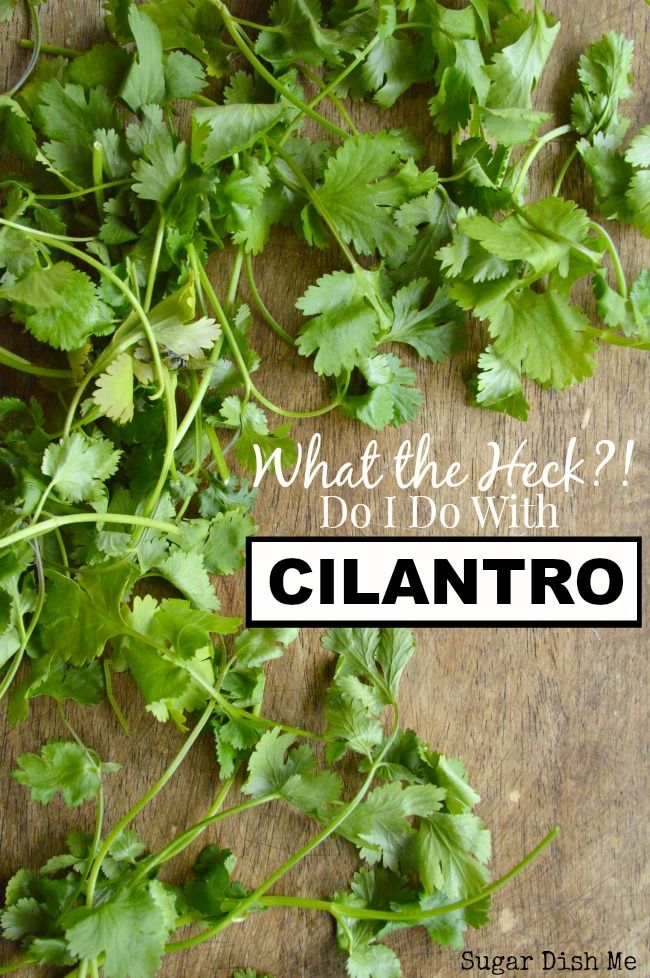 cilantro on a cutting board with the words what the hell do i do with?