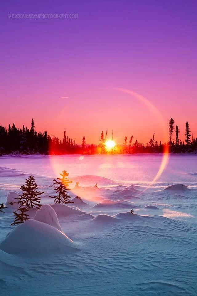 the sun is setting over a snowy landscape with trees in the foreground and snow on the ground