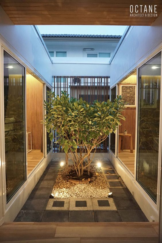 an indoor courtyard with potted plants and lights on the side walk leading up to it