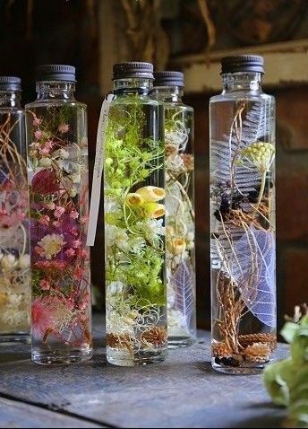 four glass bottles filled with flowers and plants