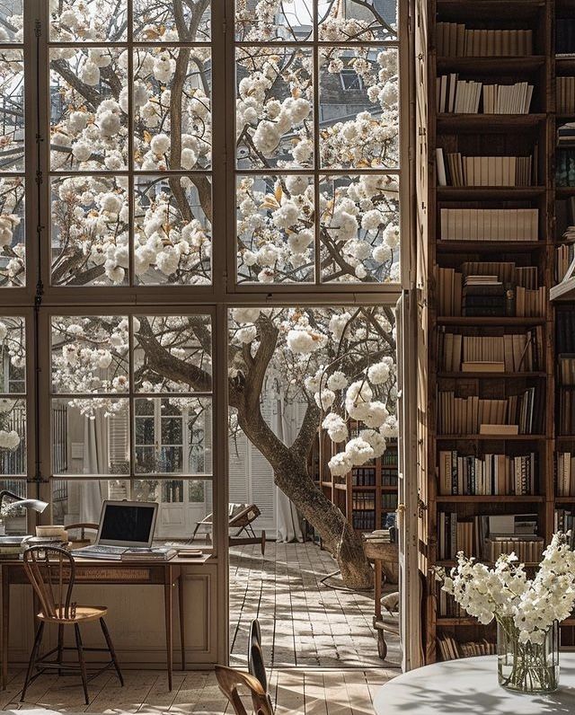 a room with large windows and lots of bookshelves filled with white flowers on the tree