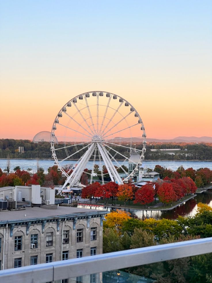 a ferris wheel in the middle of a city with trees and buildings around it at sunset