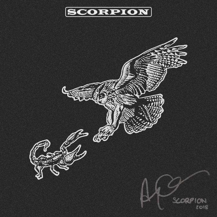 the scorpion album cover with an eagle and lizard on it's back side, in white ink