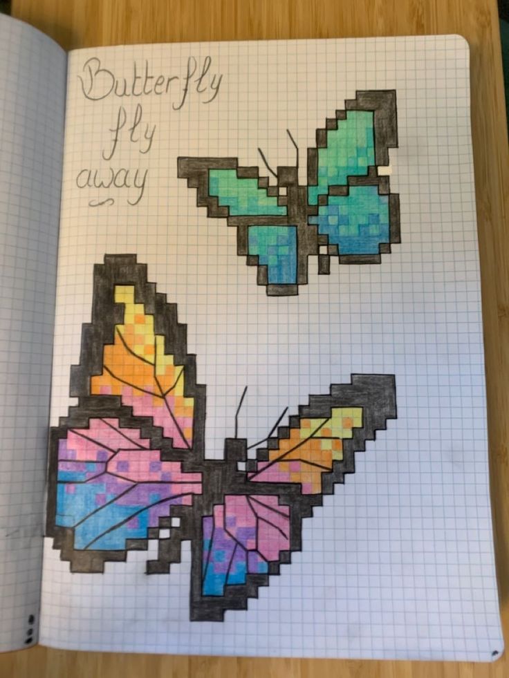 an open notebook with two butterflies drawn on the pages, and one is colored in different colors