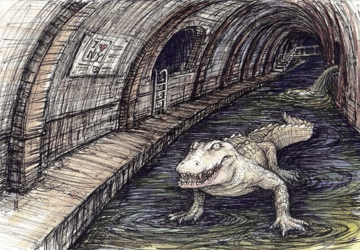 a drawing of an alligator in a tunnel