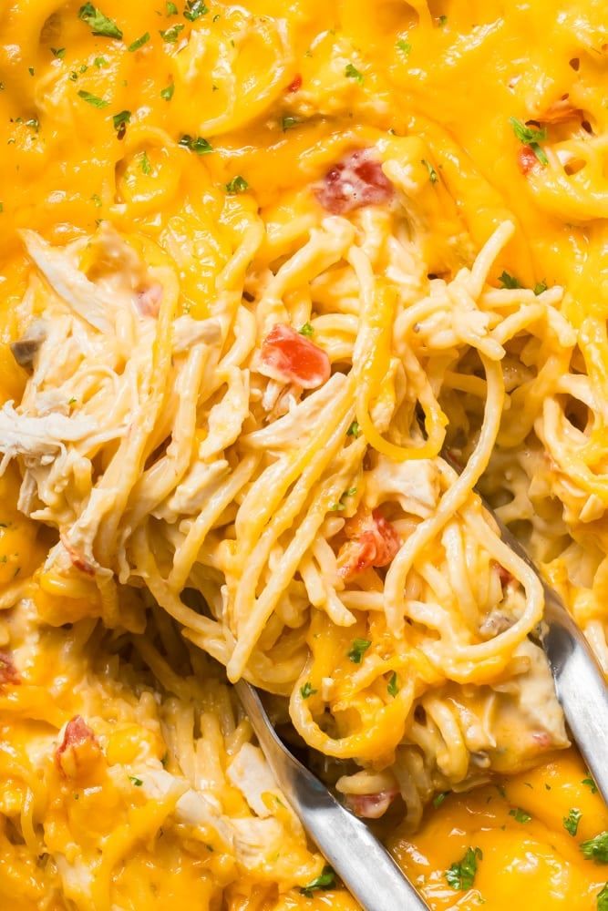 a close up of a plate of pasta with chicken and cheese