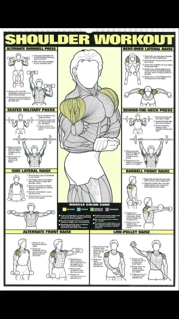 the shoulder workout poster with instructions