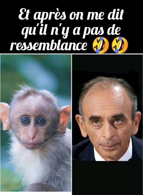 two different pictures of a monkey and a man in a tuxedo with the caption'et apres on me dit quii n y a pas de resemblance