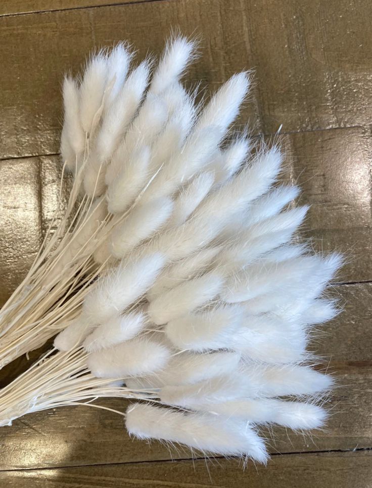 some white feathers sitting on top of a wooden table