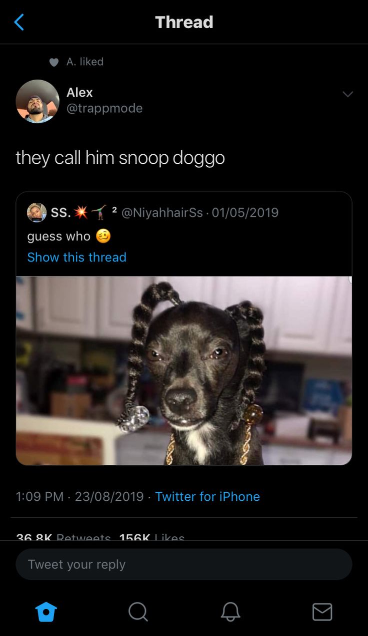 an image of a dog with dreadlocks on it's head and the caption they call him snoop doggo