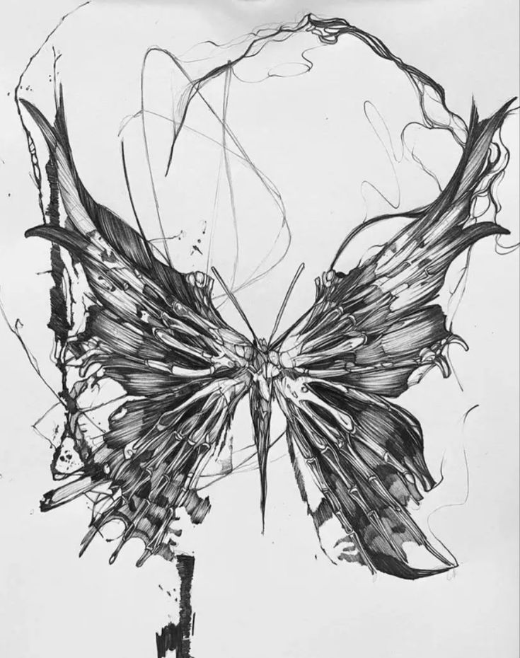 a black and white drawing of a butterfly with wings spread over it's back