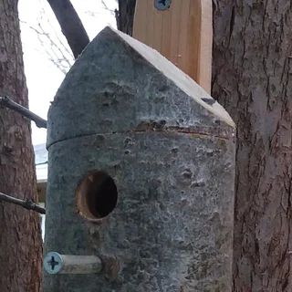 a bird house made out of cement and wood in front of some tree trunks with no leaves on it