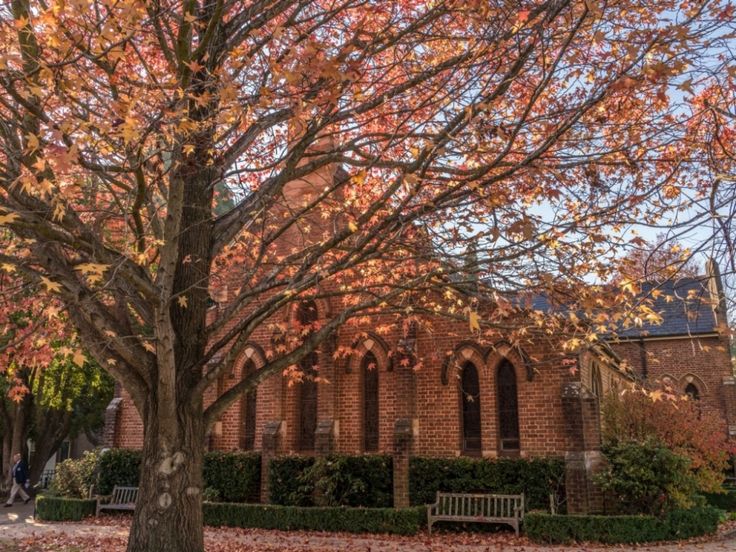 an old brick church surrounded by trees with leaves on the ground