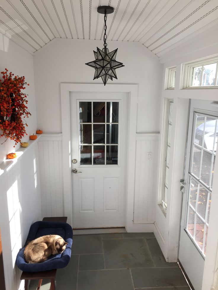 a dog laying on a blue chair in front of a white door with two windows