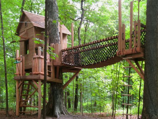 a tree house built in the woods