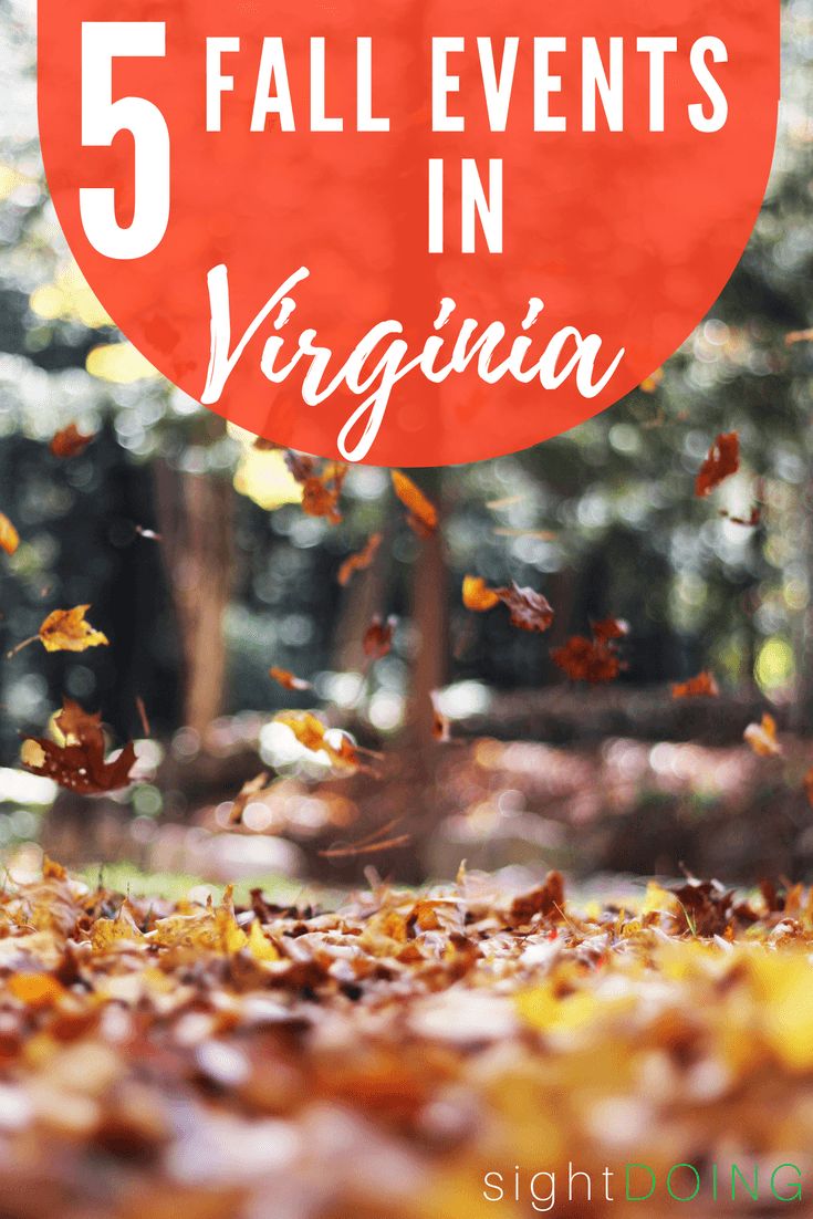 fall leaves with the words 5 fall events in virginia overlayed by falling leaves