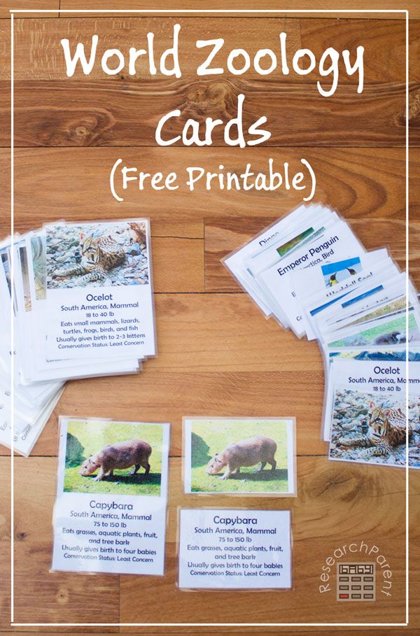 the world zoology cards are free printable