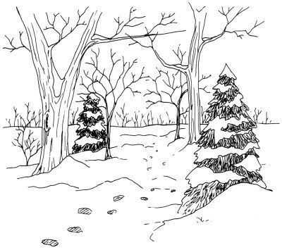 a black and white drawing of trees in the snow, with footprints on the ground