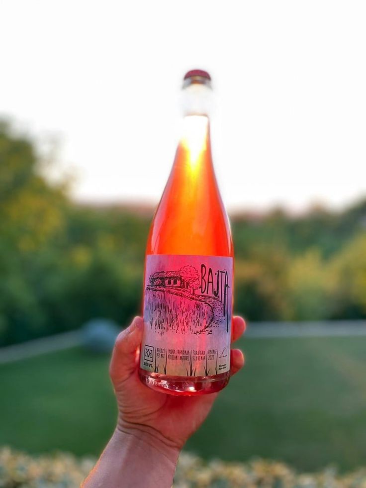 someone holding up a bottle of beer in front of some bushes and trees with the sun shining on them