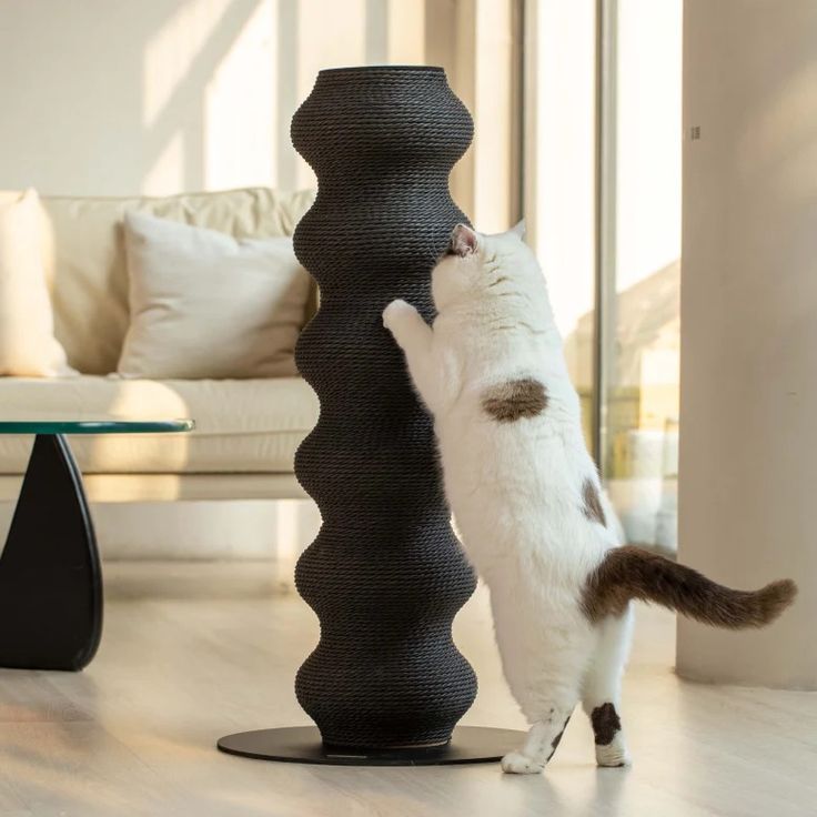 a white cat standing on its hind legs next to a tall black object in a living room