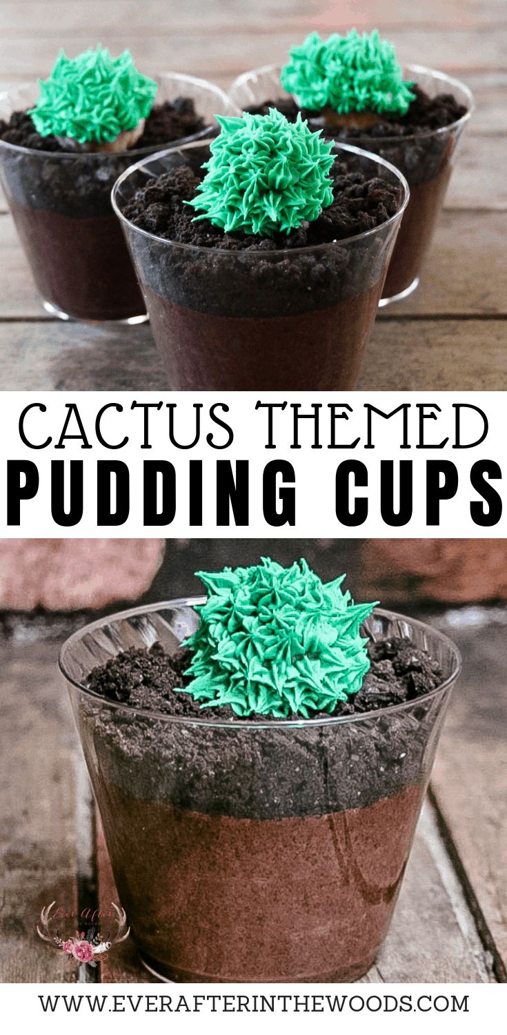 three potted plants with green grass in them and the words cactus themed pudding cups