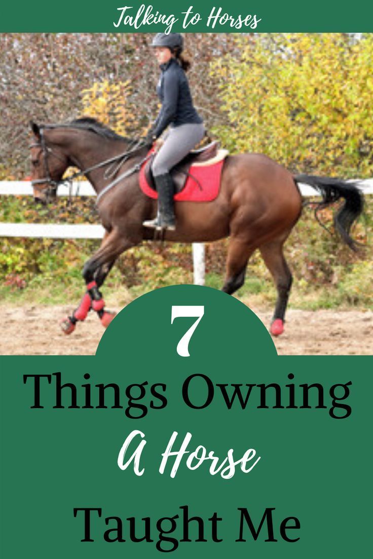 a woman riding on the back of a brown horse with text overlay reading 7 things owning a horse taught me