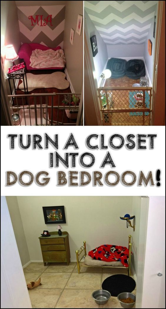 there is a collage of pictures with the words turn a closet into a dog bed room