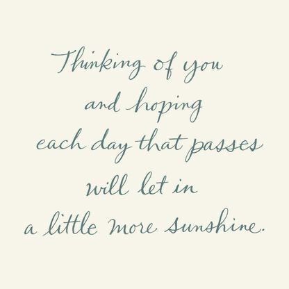 a quote that says thinking of you and happy each day that passes will let in a little more sunshine