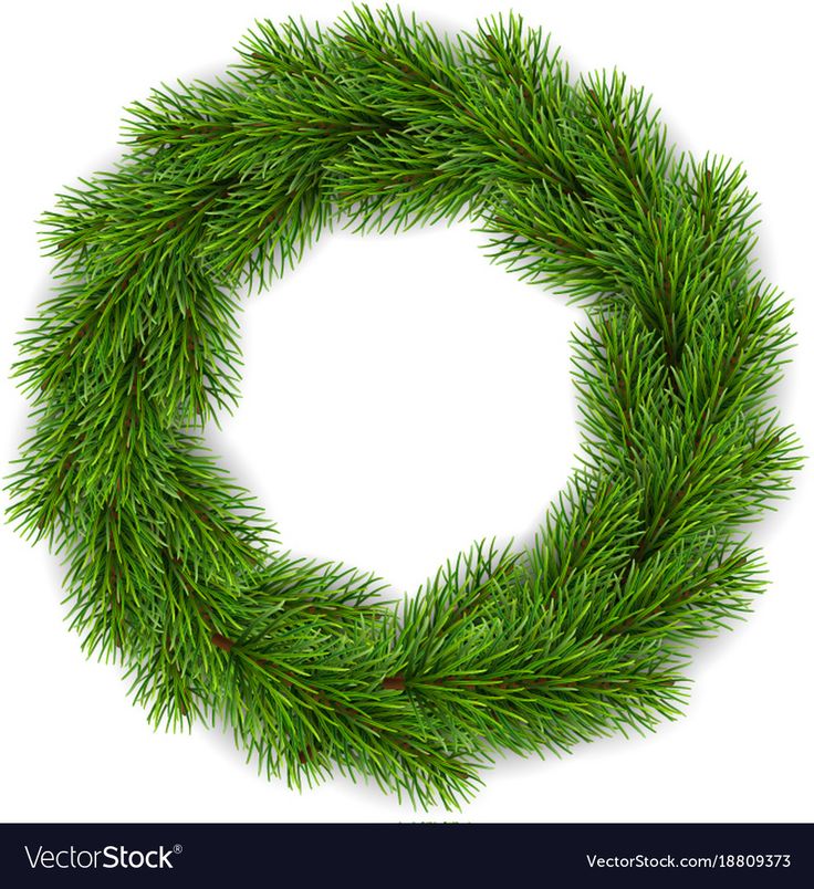 a green christmas wreath on a white background