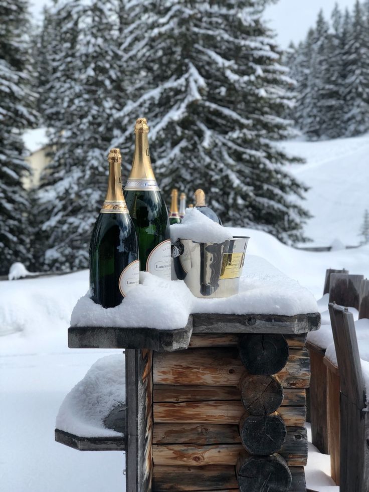 two bottles of champagne sitting on top of a wooden table covered in snow next to pine trees