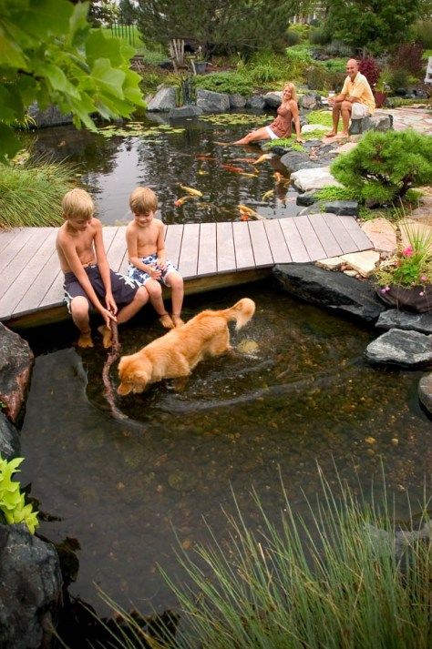 two boys and a dog are sitting on a dock near a pond with water lilies