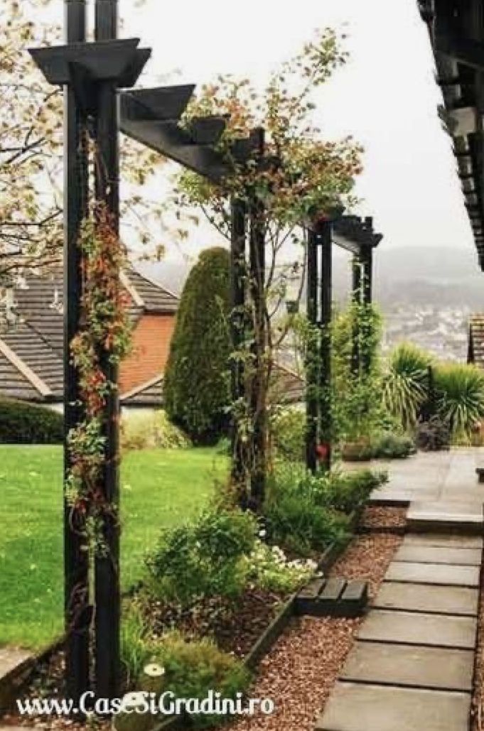 an outdoor garden with lots of plants and trees