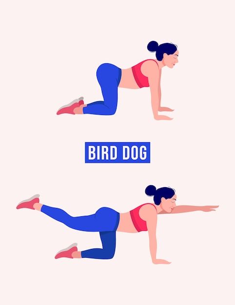 a woman doing the bird dog plank exercise