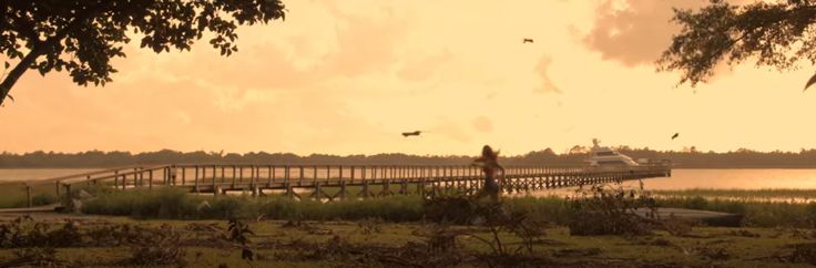 a person walking across a bridge over a body of water with birds flying above it