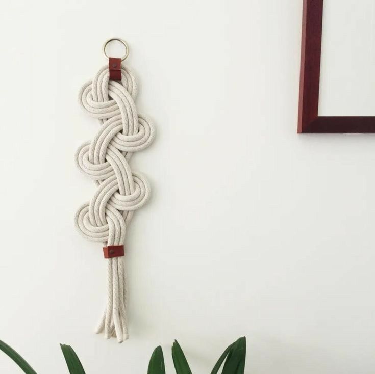 a white rope hanging on the wall next to a potted plant and framed mirror