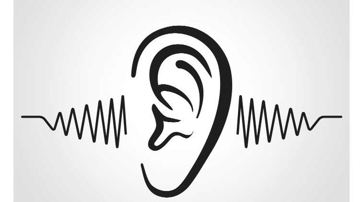 ear, human ear, ear structure, human ear structure, VIBGYOR, sensory organ, humna sensory organ, india news, nation news Medical Terms, Ps4 Pro, Latin Words, Ear Wax, Active Listening, Hearing Loss, Cognitive Behavioral Therapy, Behavioral Therapy, Hearing Aids