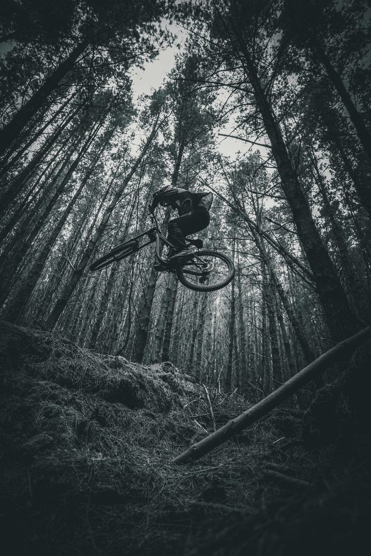 a man riding a bike through the air over a forest filled with lots of trees