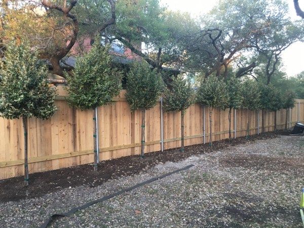 a wooden fence with trees in the middle and gravel on the ground next to it