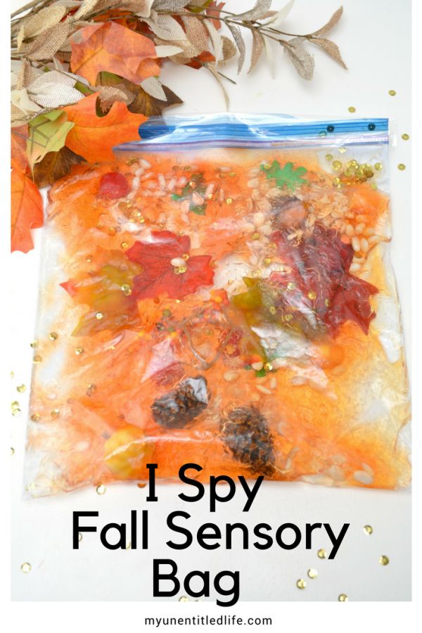 a bag filled with fall leaves and text that says i spy fall sensory bag