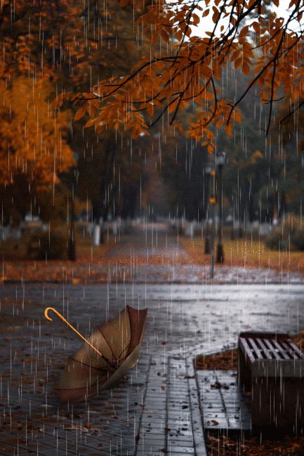 an open umbrella sitting on top of a wooden bench under a tree in the rain