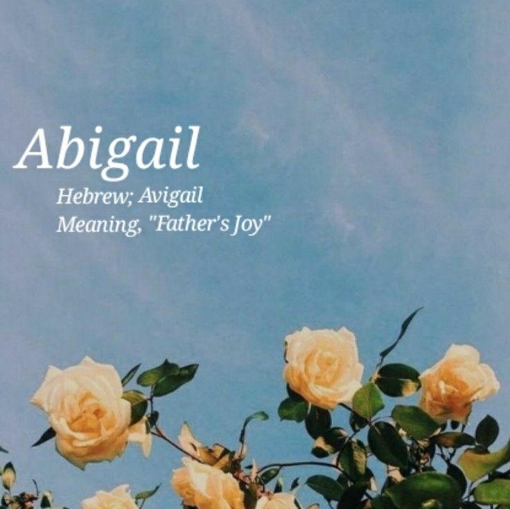 the words abigal are written in white on a blue sky background with yellow roses