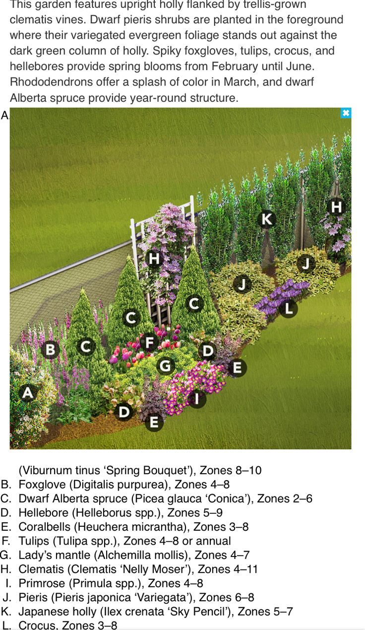 an image of a garden with flowers and plants in it, including the names of each flower