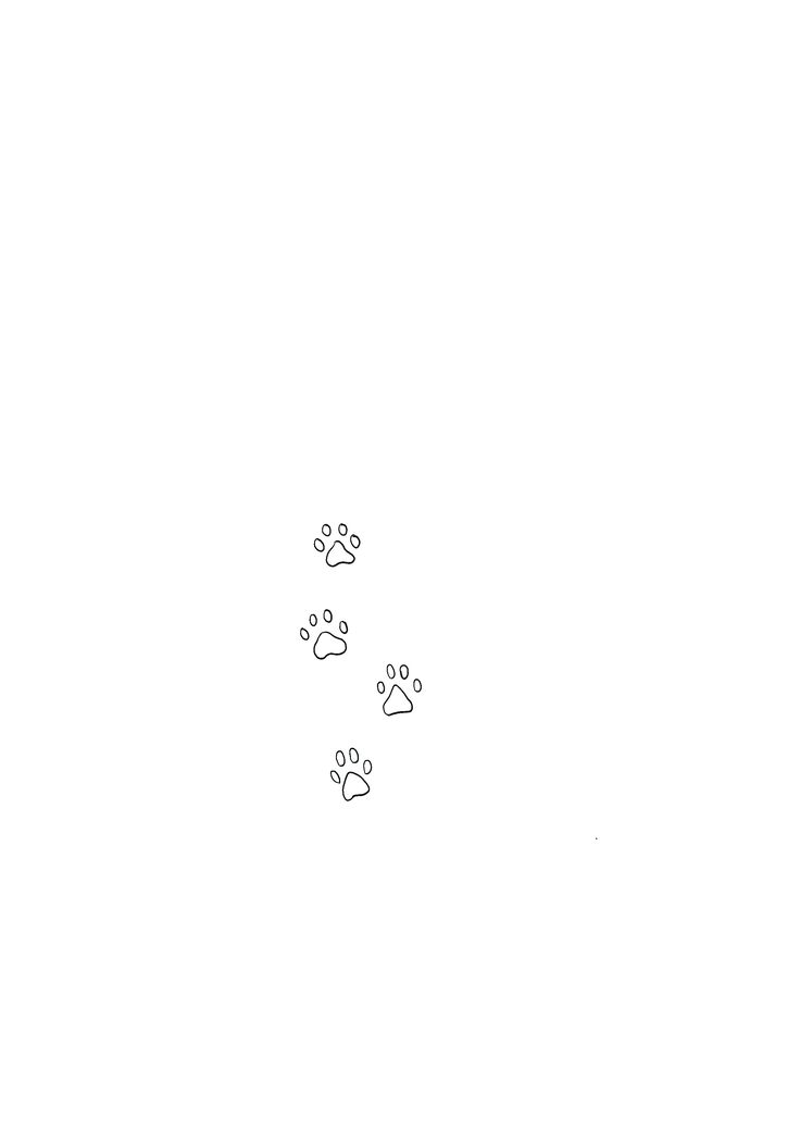 an animal paw prints on a white background