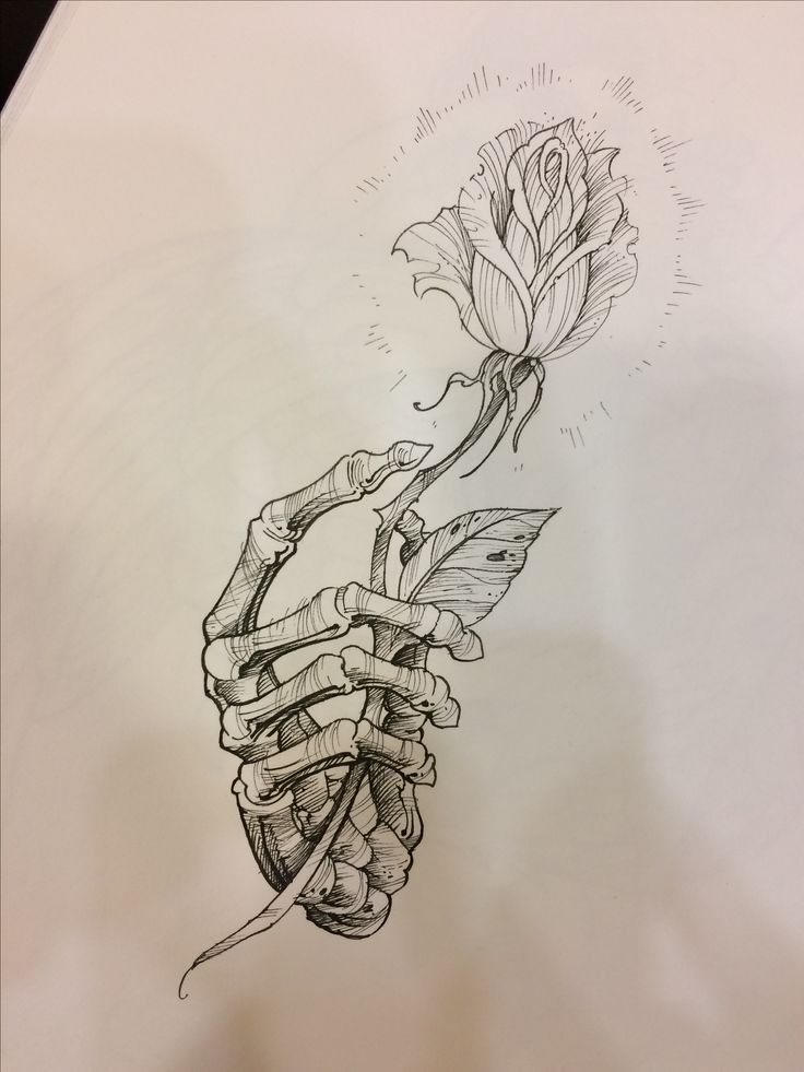 a drawing of a hand holding a rose