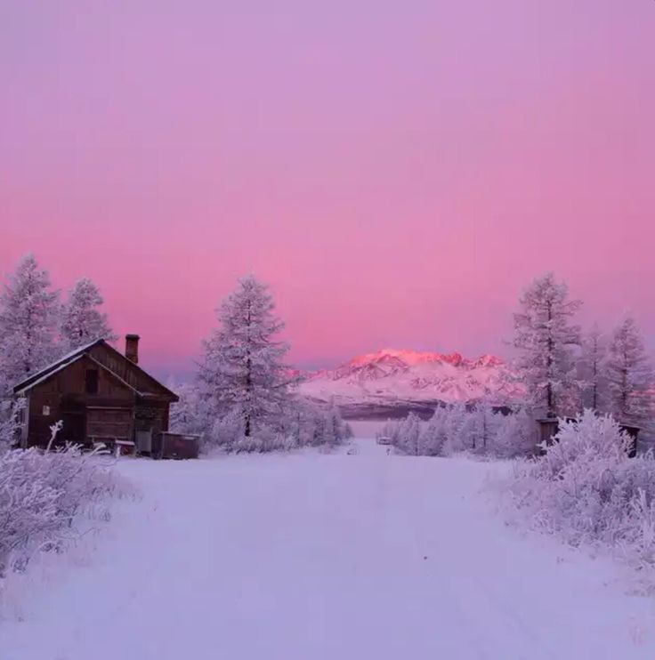 a snow covered road leading to a small cabin