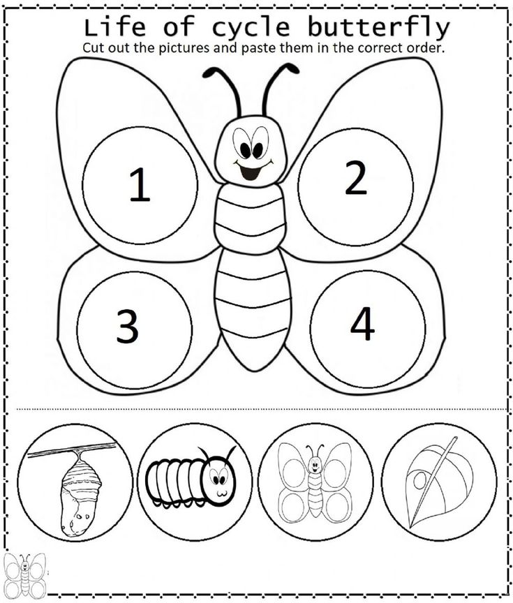 the life cycle of a butterfly worksheet for kids to learn how to draw and color