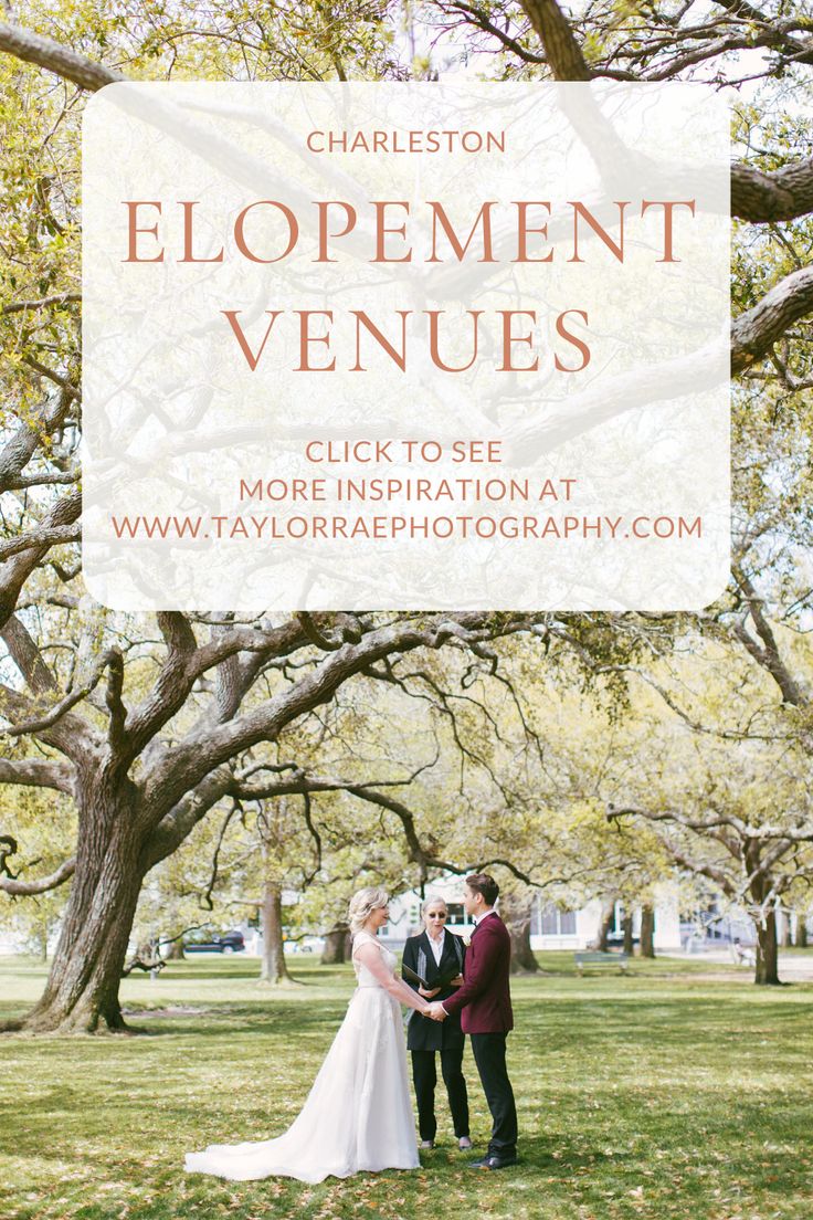 a bride and groom standing in front of trees with text overlay that reads charleston elopement venues