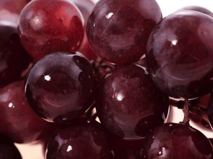 closeup of red grapes with water droplets on the top and bottom, against a white background